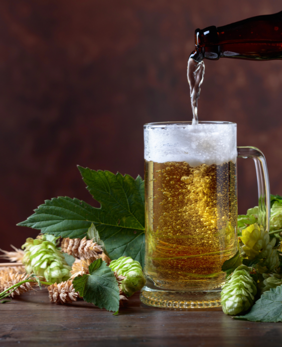 Bier wird in ein Glas geschenkt